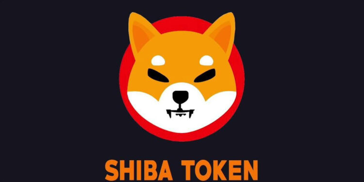 מה זה מטבע שיבא (SHIB) ולמה הוא עלה ב-2200%