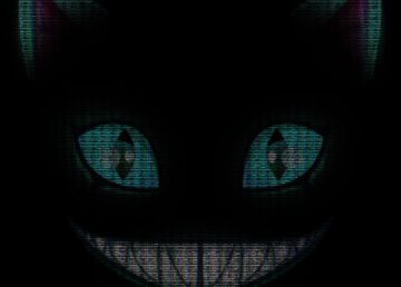 ירידות חדות במטבע TIME והאשמות בקהילת הצפרדעים – אלו הסיבות