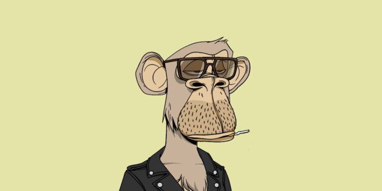 טעות מבאסת: NFT של הקופים המשועממים בשווי 350K דולר נמכר בעבור 115 דולר בלבד